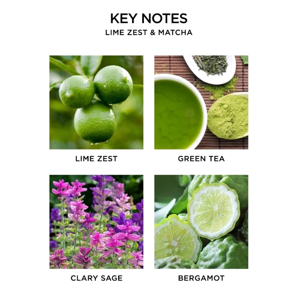 NEST NY Home Fragrance Diffuser Refill Smart Vials Lime Zest & Matcha 2 set - Picture 3 of 4